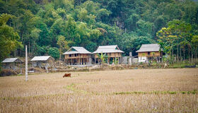 Capture the authentic charm of Vietnam’s lush scene